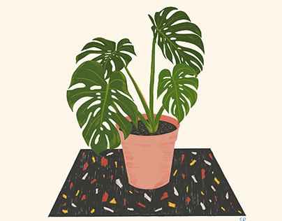 houseplants | Ilustration