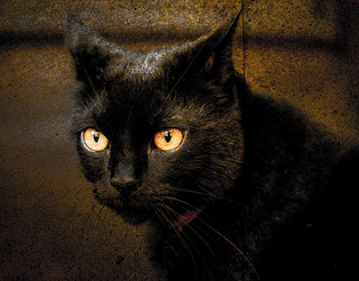 Black Cat in Fresco Design
