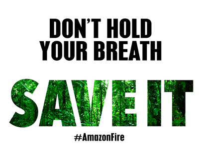 2019 Amazon rainforest wildfires