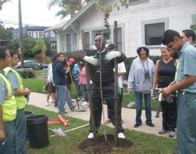 United Voices, Tree Planting