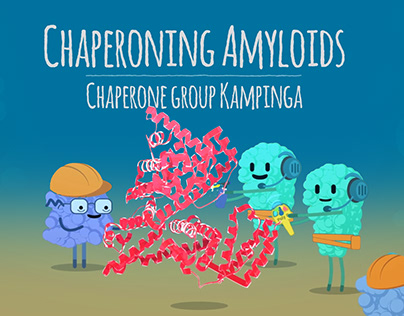 Chaperoning Amyloids