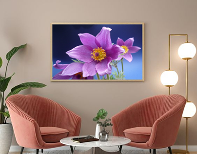 anemon çiçeği tablo