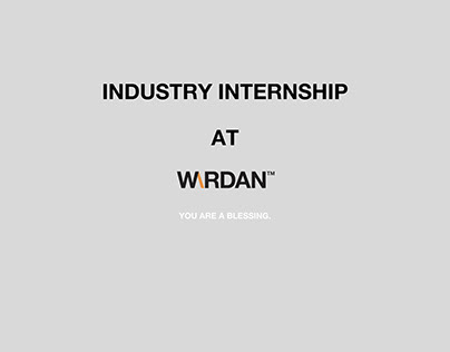 Internship Project at Wardan™