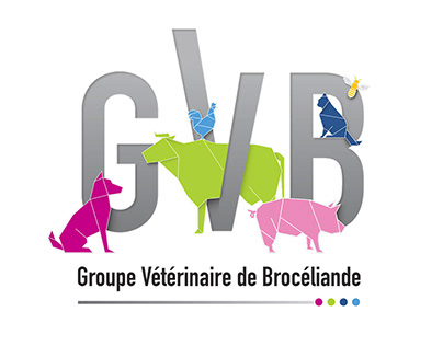 logo - Identité visuelle / GVB