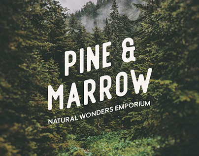 Pine & Marrow Brand Identity