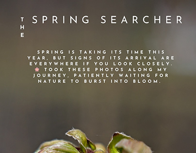 The spring searcher II