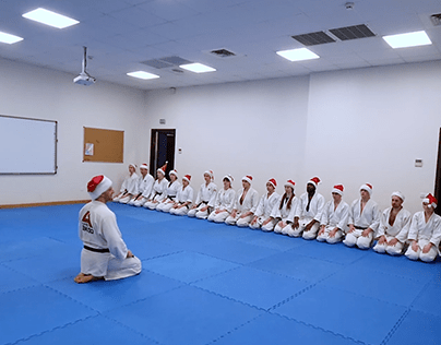 Aikido Holiday Training