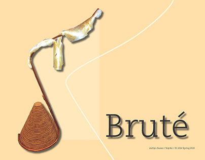 Brute: A Reading Lamp