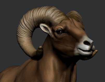 Project thumbnail - Bighorn sheep