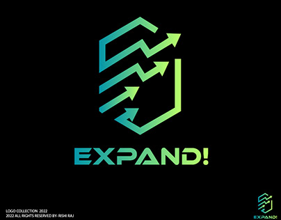 Professional Expand Logo