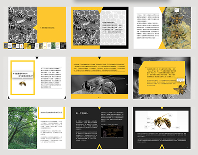 Interactive Design - iBook