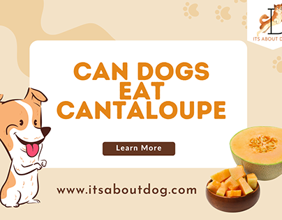 Learn more about Can Dogs Eat Cantaloupe?