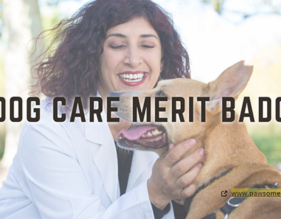 Pet Care Merit Badge