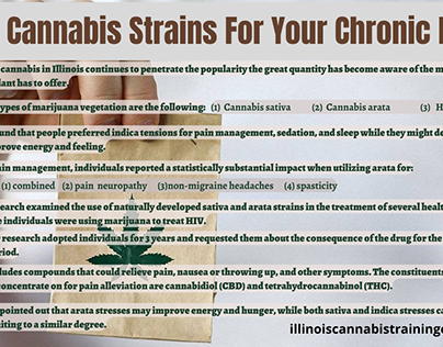 The Best Cannabis Strains For Your Chronic Pain
