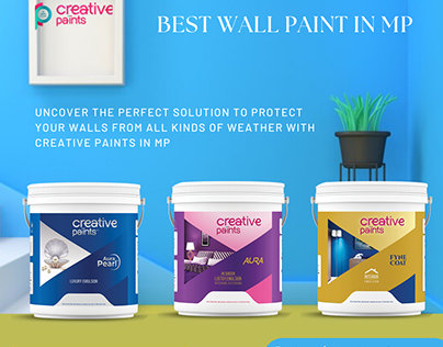 Sparkling Look with Paint Manufacturers in Mp