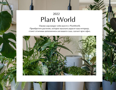Plant World | Online store