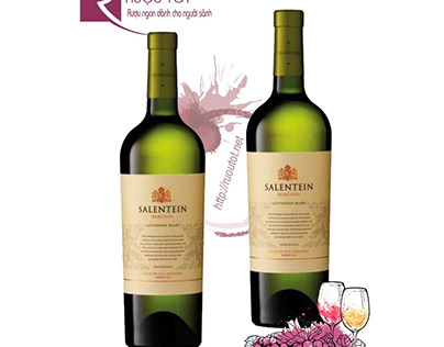 Rượu vang Salentein Barrel Selection Sauvignon Blanc