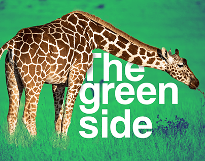 The Green Side Newsreader App