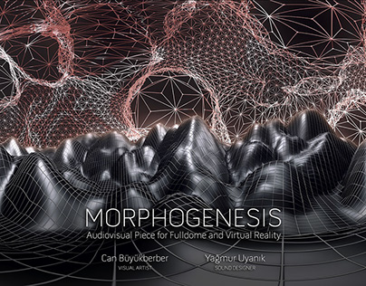 Morphogenesis VR