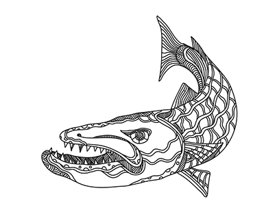 Barracuda Fish Doodle Art