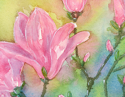 Project thumbnail - Magnolia flowers