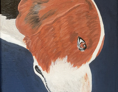 Fox Hound Paintings