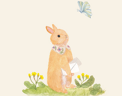 The letter from your rabbit | picture book