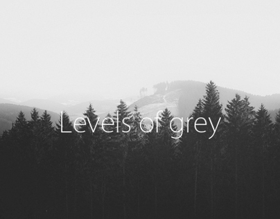 Levels of grey