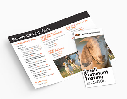 Project thumbnail - OADDL Small Ruminant Testing Brochure