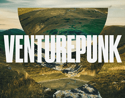 VenturePunk