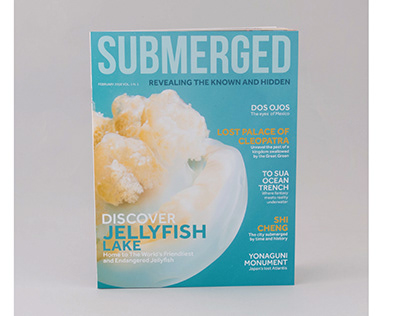 SUBMERGED: REVEALING THE KNOWN AND HIDDEN