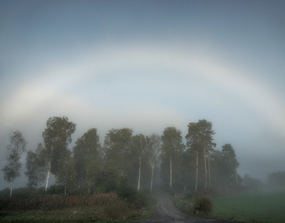 The magical fogbow