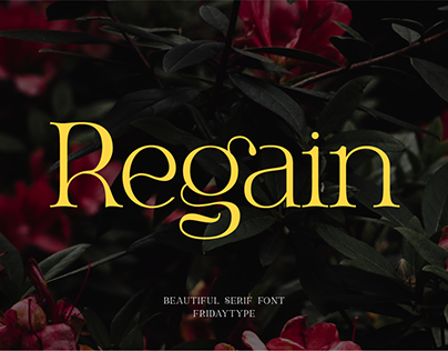 Regain - Beautiful Serif Font