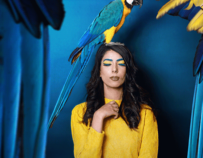 Macaw Photoshoot