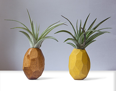 Pineapple airplants