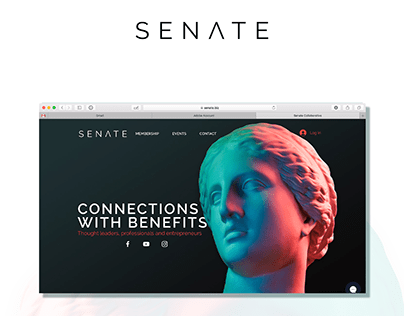 Senate Mobile Friendly UX Website Design