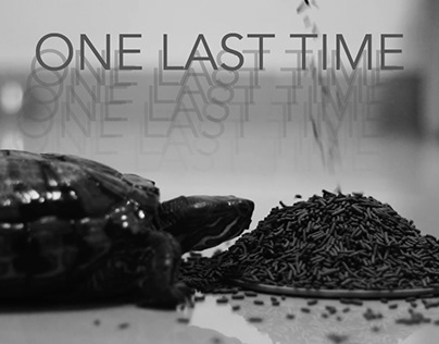 One Last Time- 5 Shot Film Video