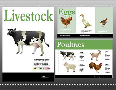 Livestock Flyer