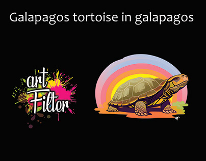 Galapagos tortoise in galapagos