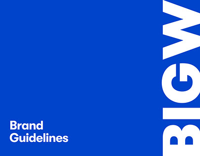 BIG W — Logo & Brand identity — Brand Guidelines