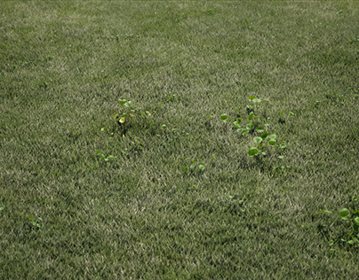 Lawn Grass (UE4 / Unreal Engine 4)