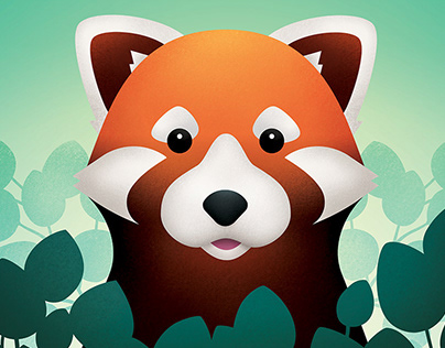 Affiche – Panda roux curieux