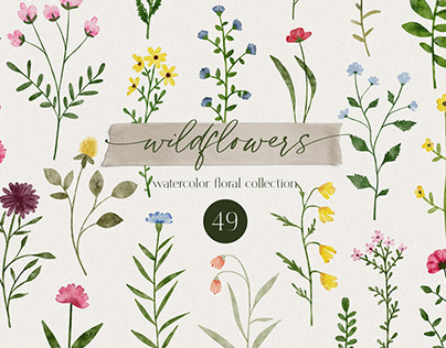 Wild flowers watercolor floral collection