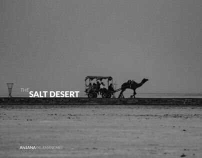 The Salt Desert, India