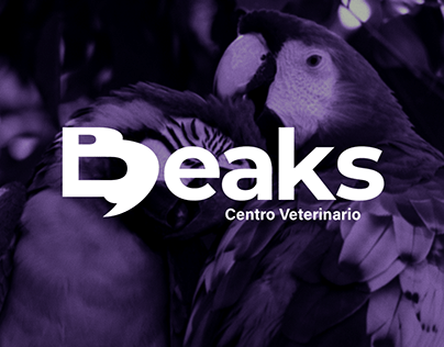 Beaks | Visual Identity