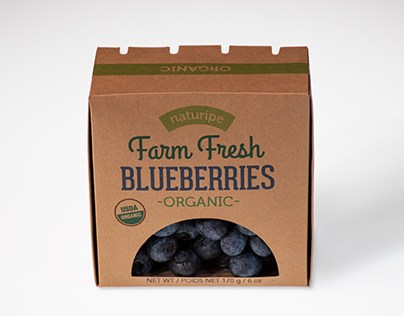 Eco-Friendly Blueberry Package Design