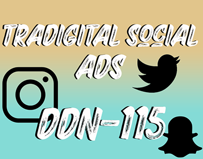 [Tradigital Social Ads] DDN-115