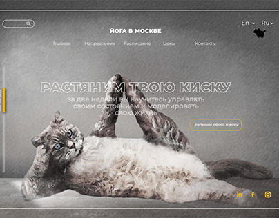 website for kitty