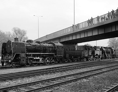Parade of steam locomotives in Wolsztyn