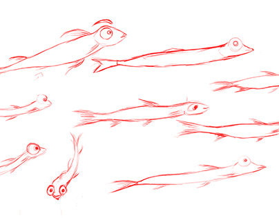 fish Sketches
